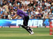 待他成为泰 待他成为泰