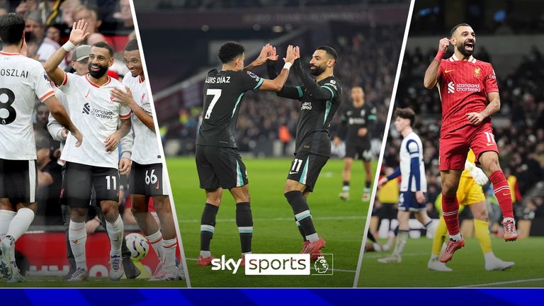 球迷们可以 球迷们可以