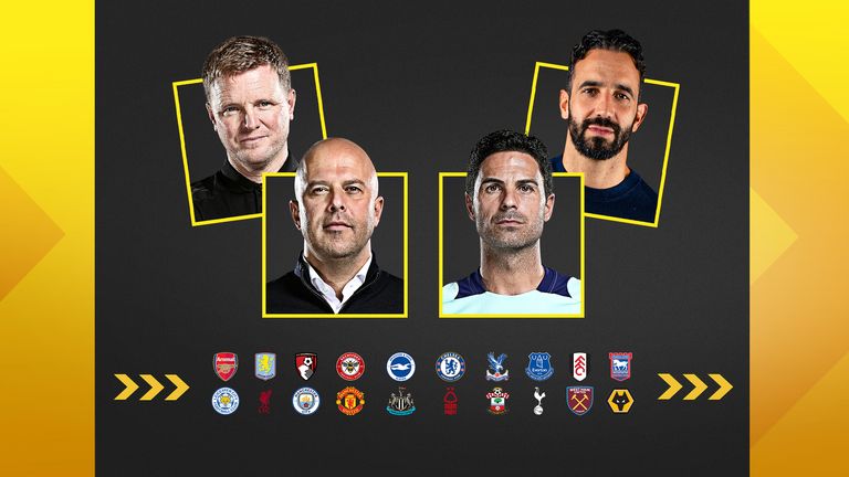 球队的后场 球队的后场